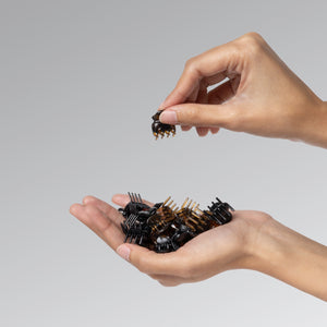 Person holding a kitsch tort micro claw clip with the rest of the set in their other hand against a plain background