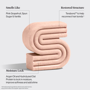 Repairing Argan Oil Shampoo & Conditioner Bar Combo